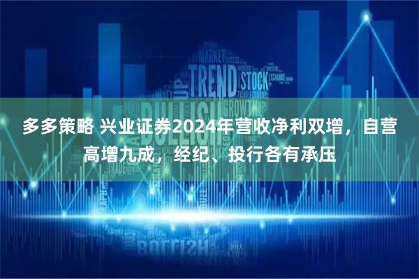 多多策略 兴业证券2024年营收净利双增，自营高增九成，经纪、投行各有承压