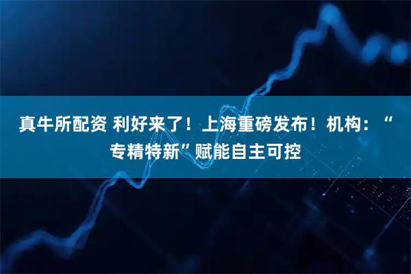真牛所配资 利好来了！上海重磅发布！机构：“专精特新”赋能自主可控