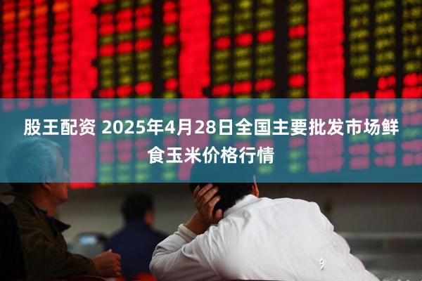 股王配资 2025年4月28日全国主要批发市场鲜食玉米价格行情
