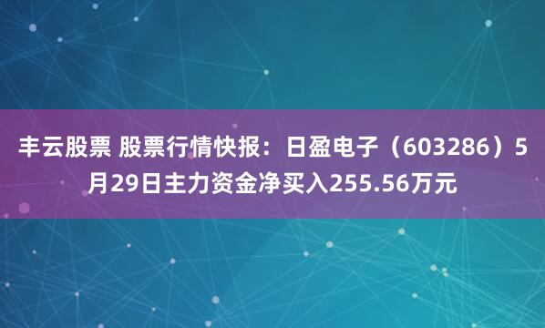 丰云股票 股票行情快报：日盈电子（603286）5月29日主力资金净买入255.56万元