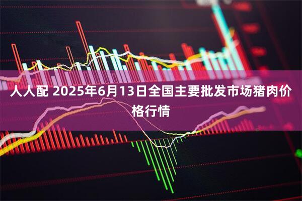 人人配 2025年6月13日全国主要批发市场猪肉价格行情