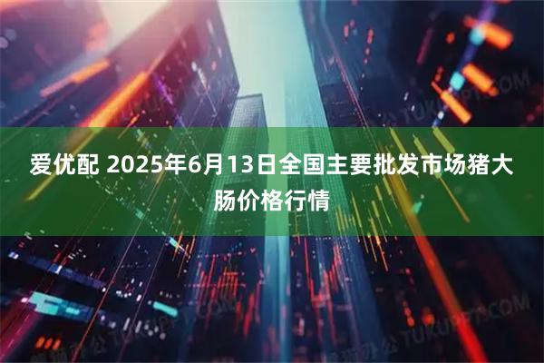 爱优配 2025年6月13日全国主要批发市场猪大肠价格行情
