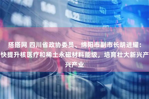 搭搭网 四川省政协委员、绵阳市副市长胡进耀：加快提升核医疗和稀土永磁材料能级，培育壮大新兴产业