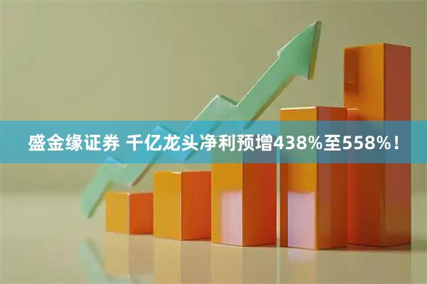 盛金缘证券 千亿龙头净利预增438%至558%！