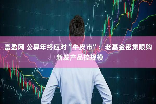 富盈网 公募年终应对“牛皮市”：老基金密集限购  新发产品控规模